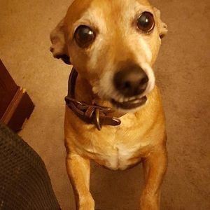 Meet your Posher, Bubba